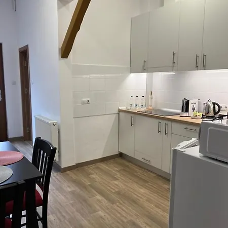 Alice Apartament Centru *